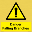 danger-falling-branches~